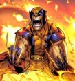 /album/serial/wolverine-jpg/